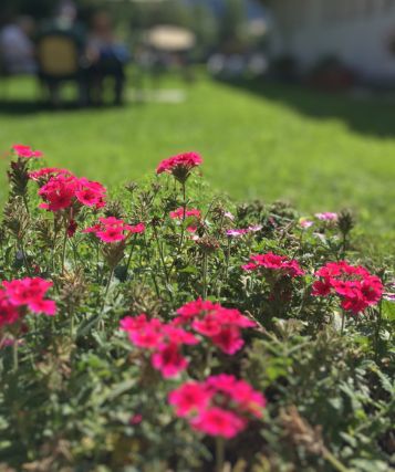 giardino fiorito hotel Paradiso Asiago