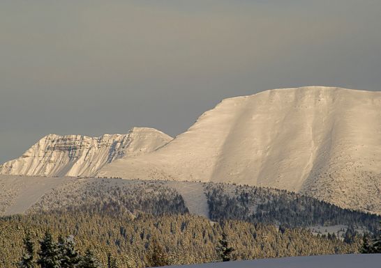 Special 2 nights in Asiago wellness + Melette ski pass